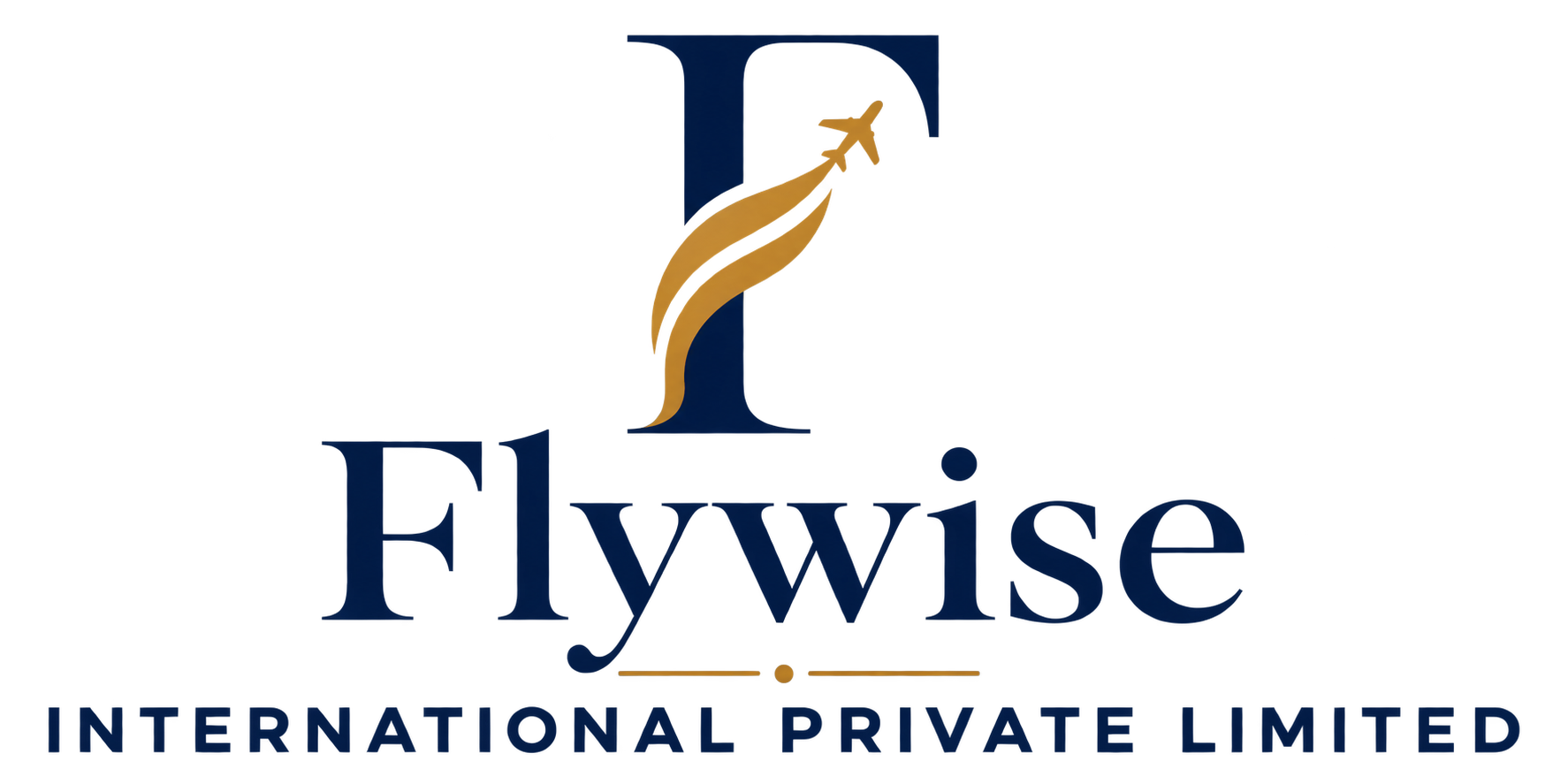 Flywise International Private Limited logo